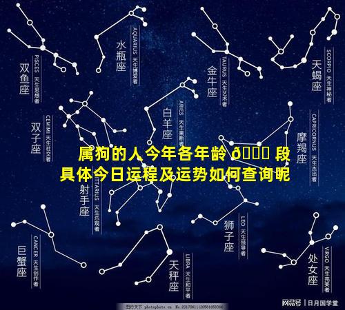 属狗的人今年各年龄 🐎 段具体今日运程及运势如何查询呢